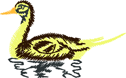 Birds 20 (11)