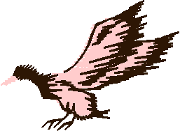 Birds 20 (12)