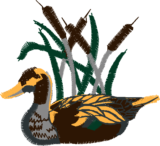 Birds 20 (49)