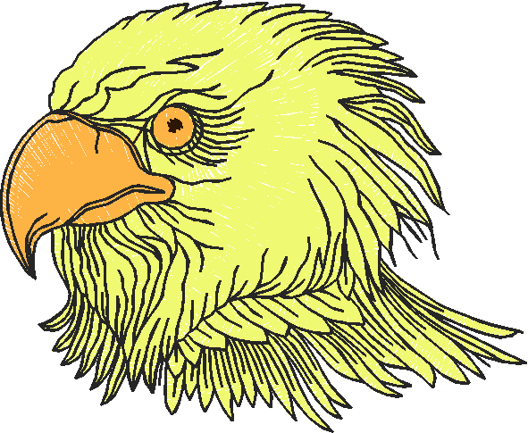 Birds 21 (19)