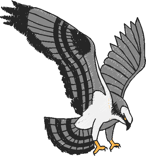 Birds 21 (35)