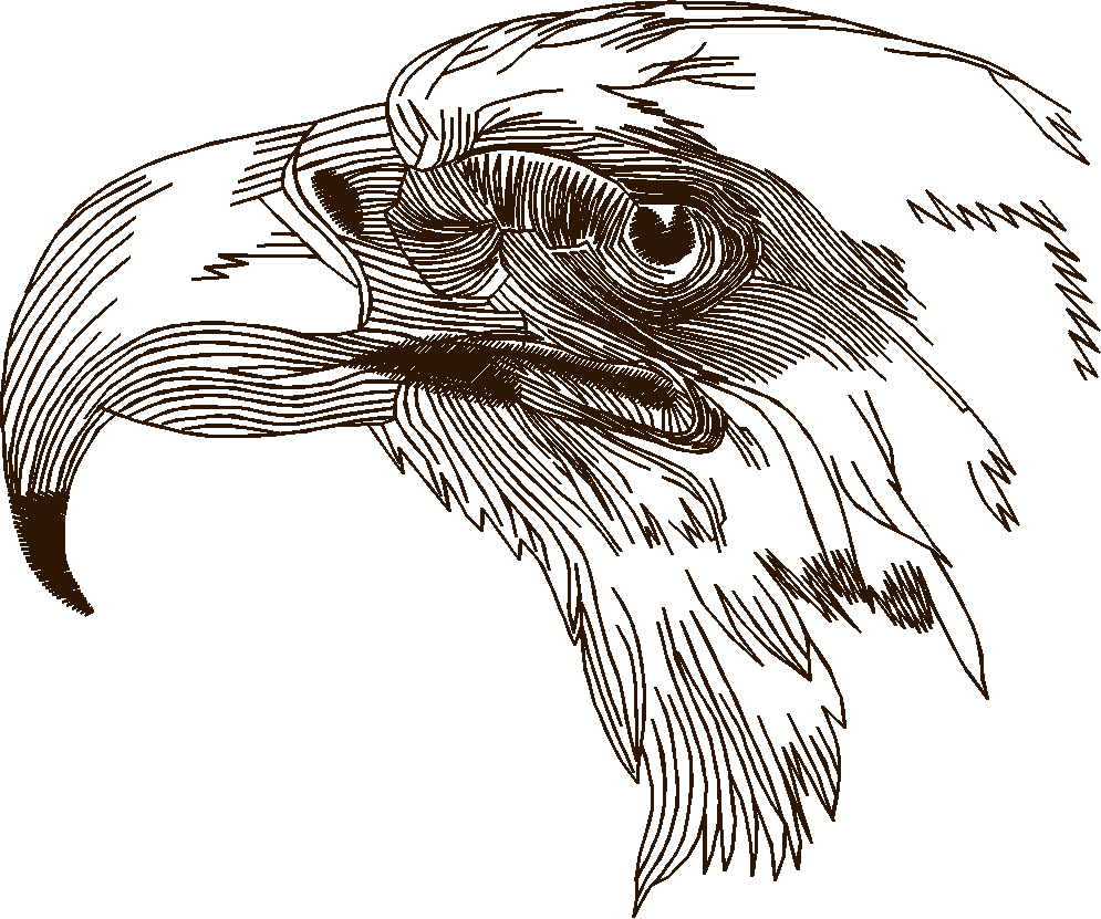 Birds 21 (38)