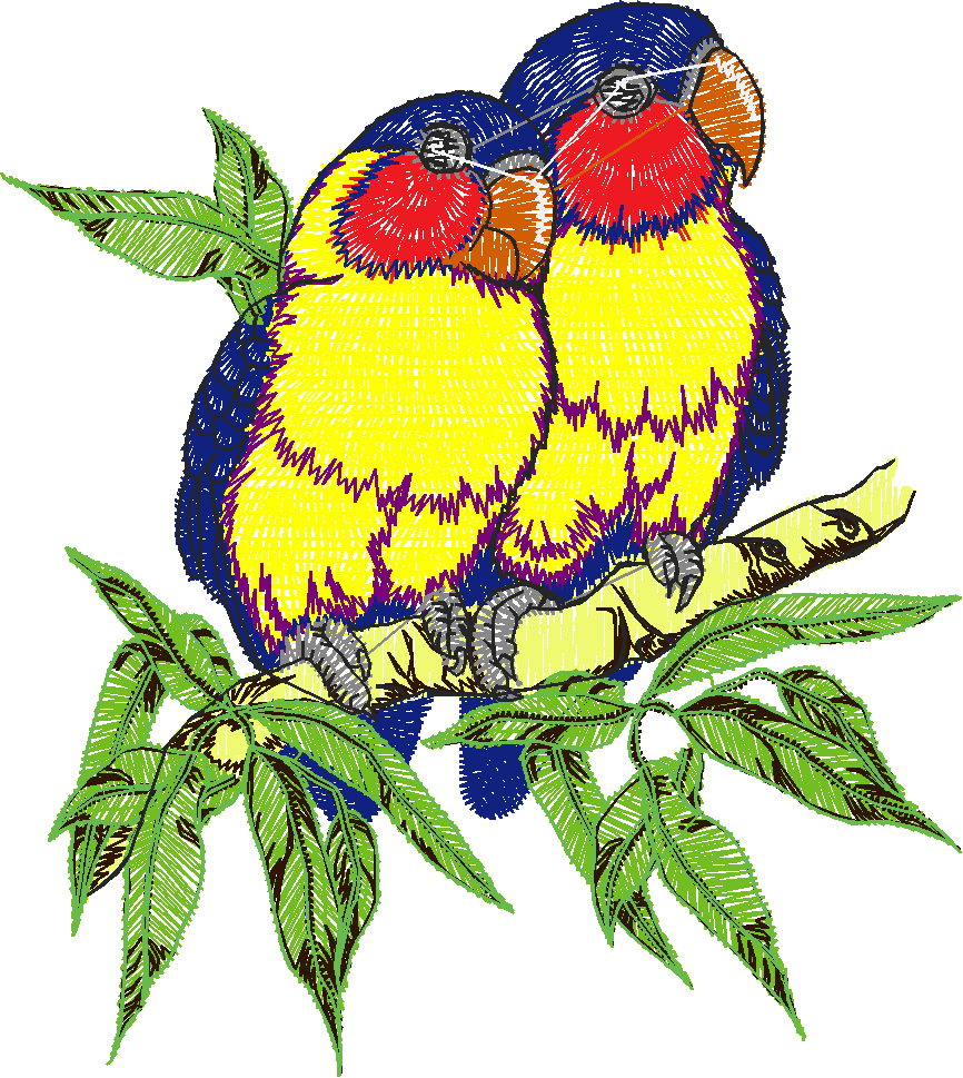 Birds 21 (63)