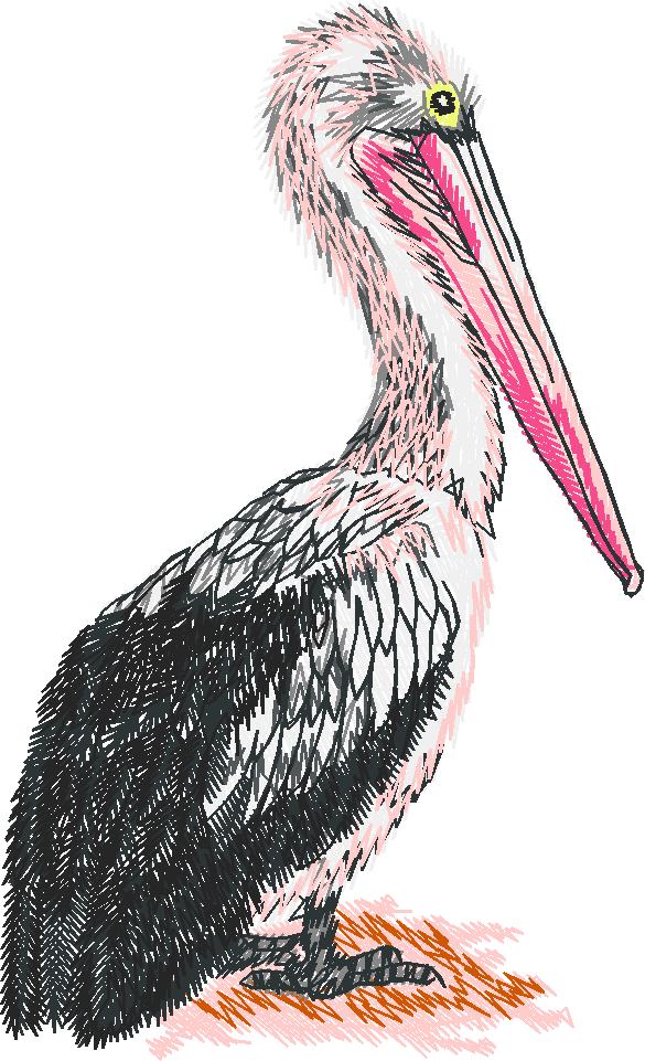 Birds 22 (64)