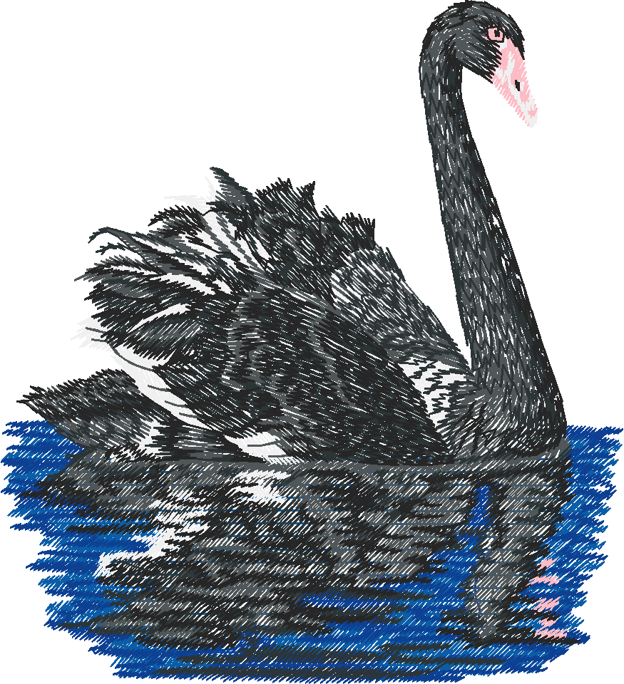 Birds 22 (65)