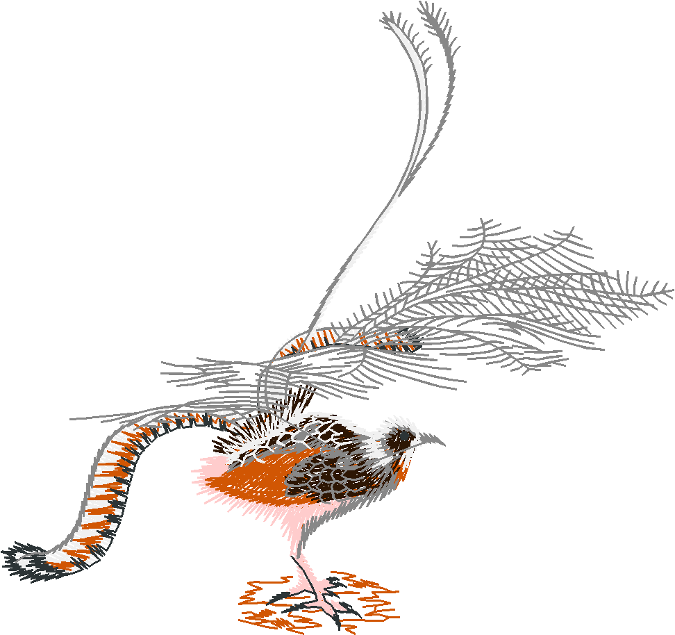 Birds 22 (66)