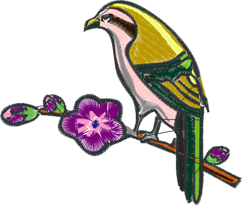 Birds 23  (1)