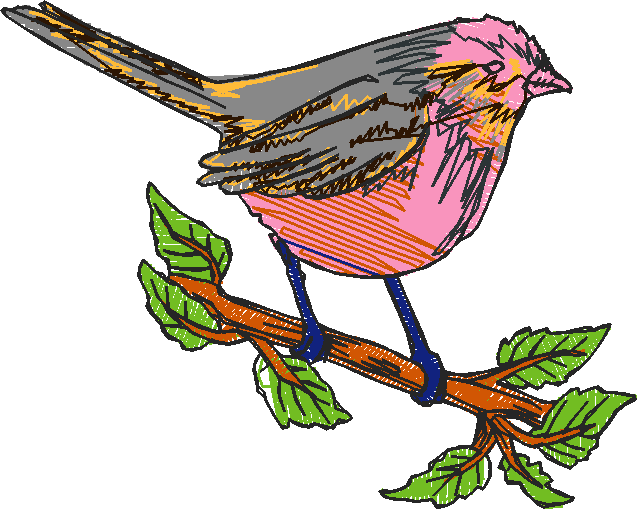 Birds 5 (15)