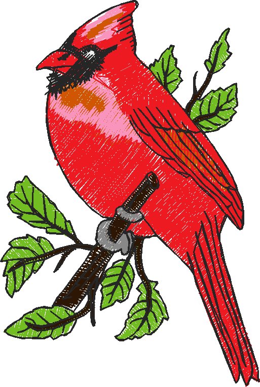 Birds 5 (7)