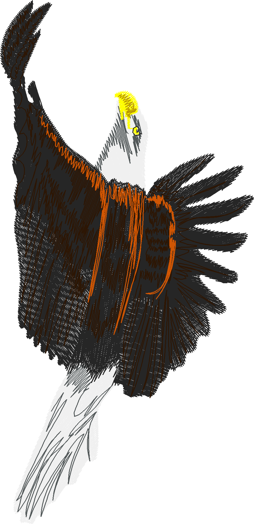 Birds 6 (1)