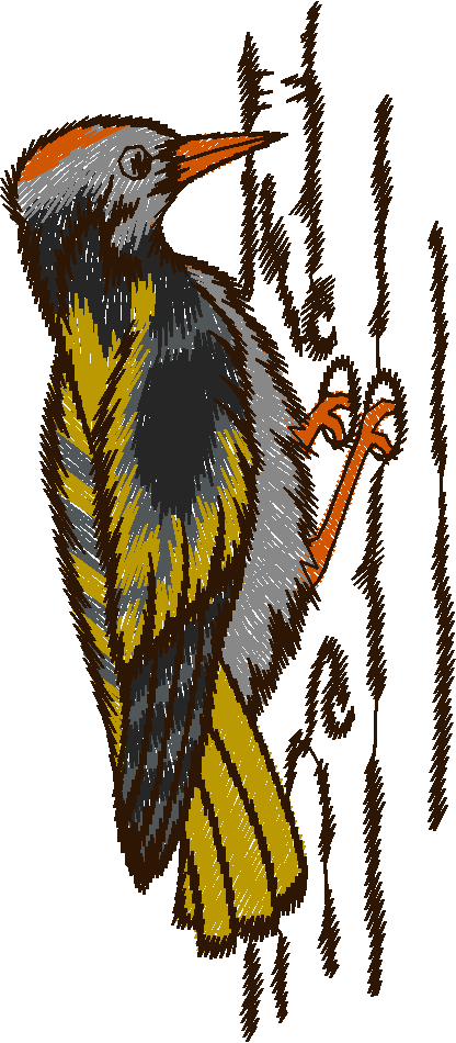 Birds 9 (10)