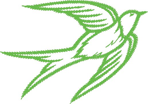 Birds 9 (22)