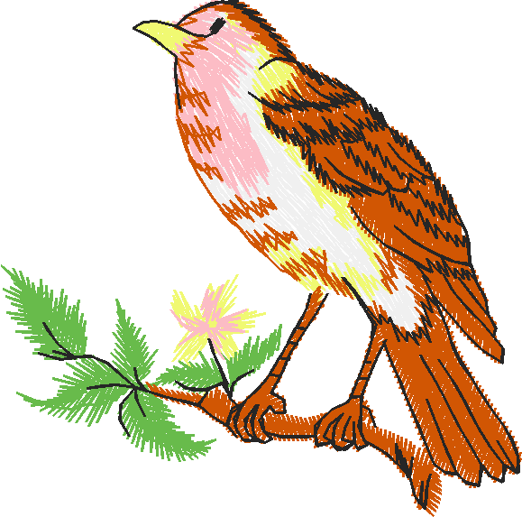 Birds 9 (4)
