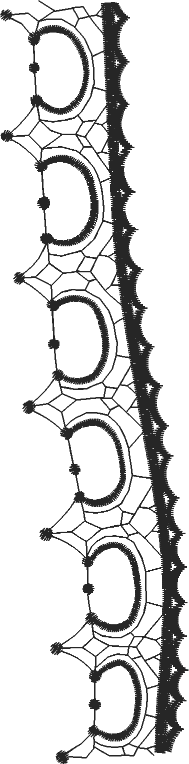 Borders 29 (5)