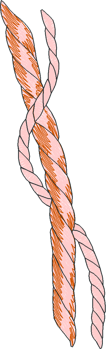 Borders 20 (19)