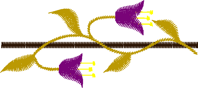 Borders 23 (81)