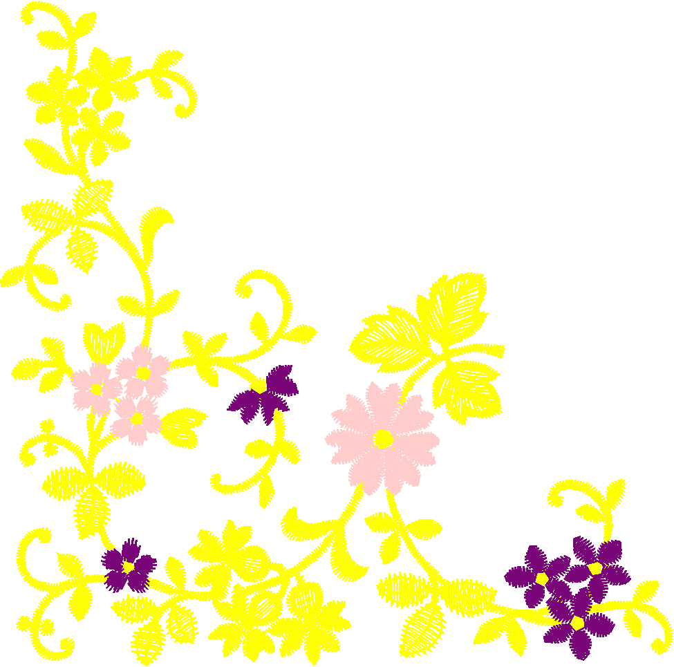 Borders 24 (99)