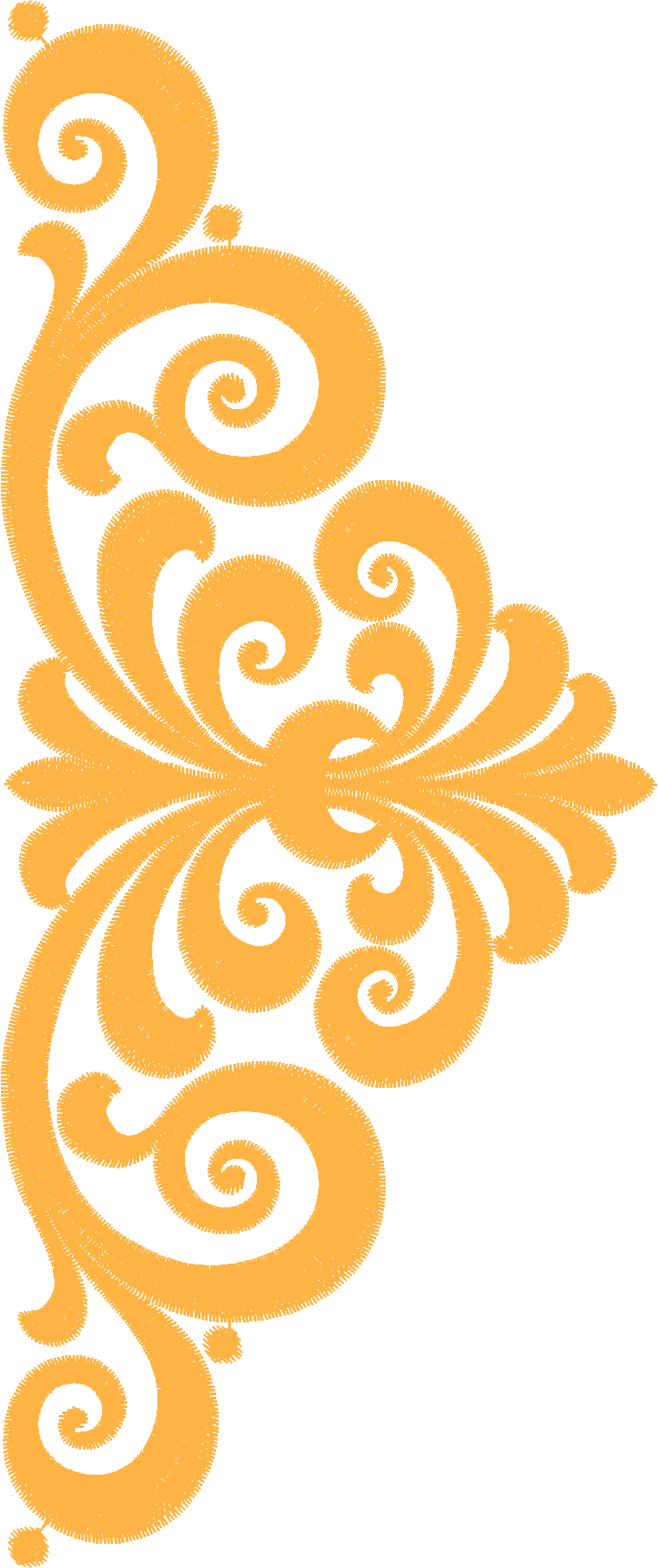 Borders 25 (4)