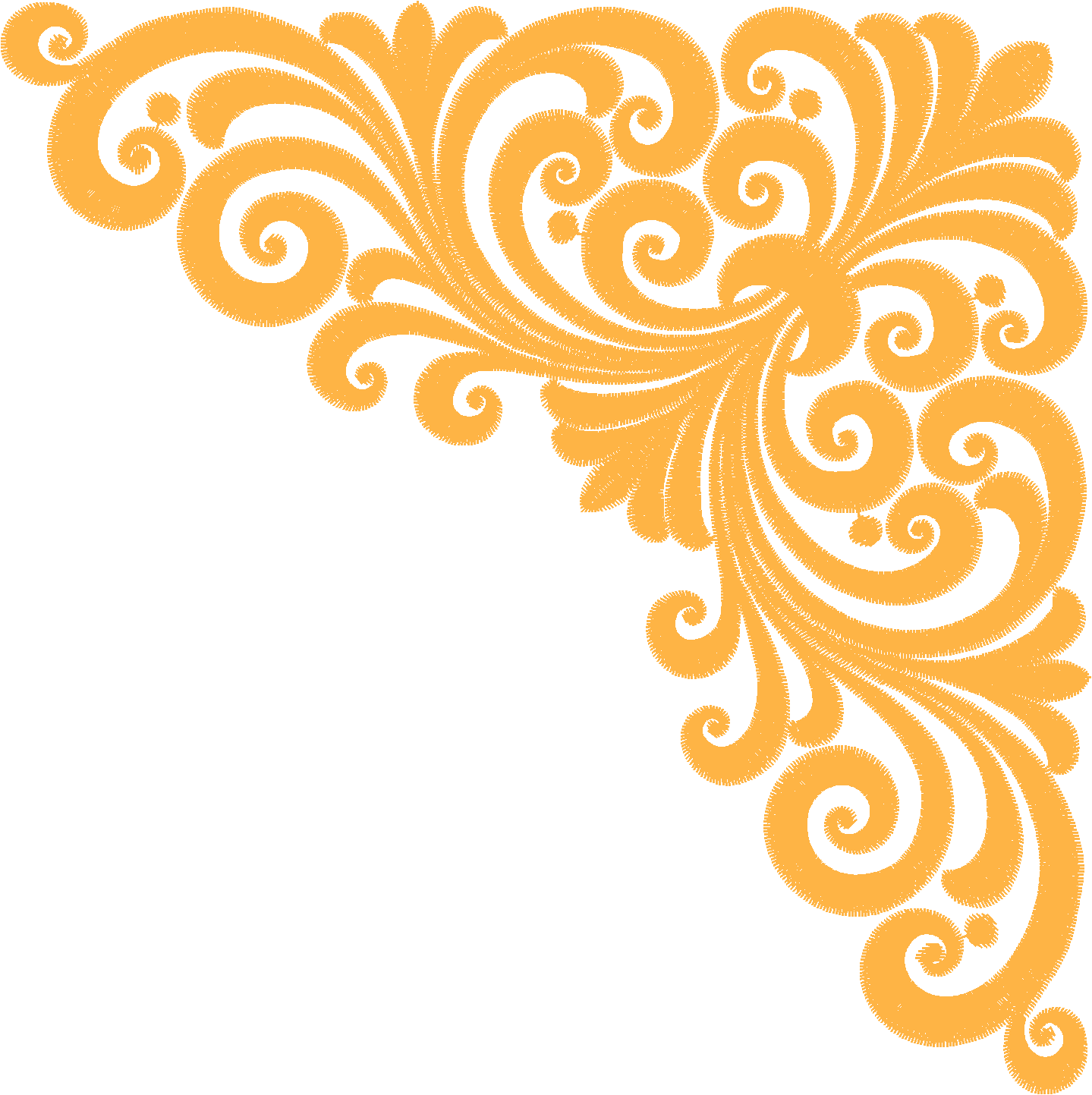 Borders 25 (5)
