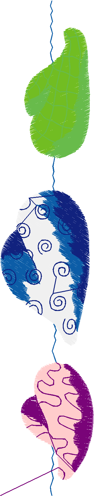 Borders 25 (89)
