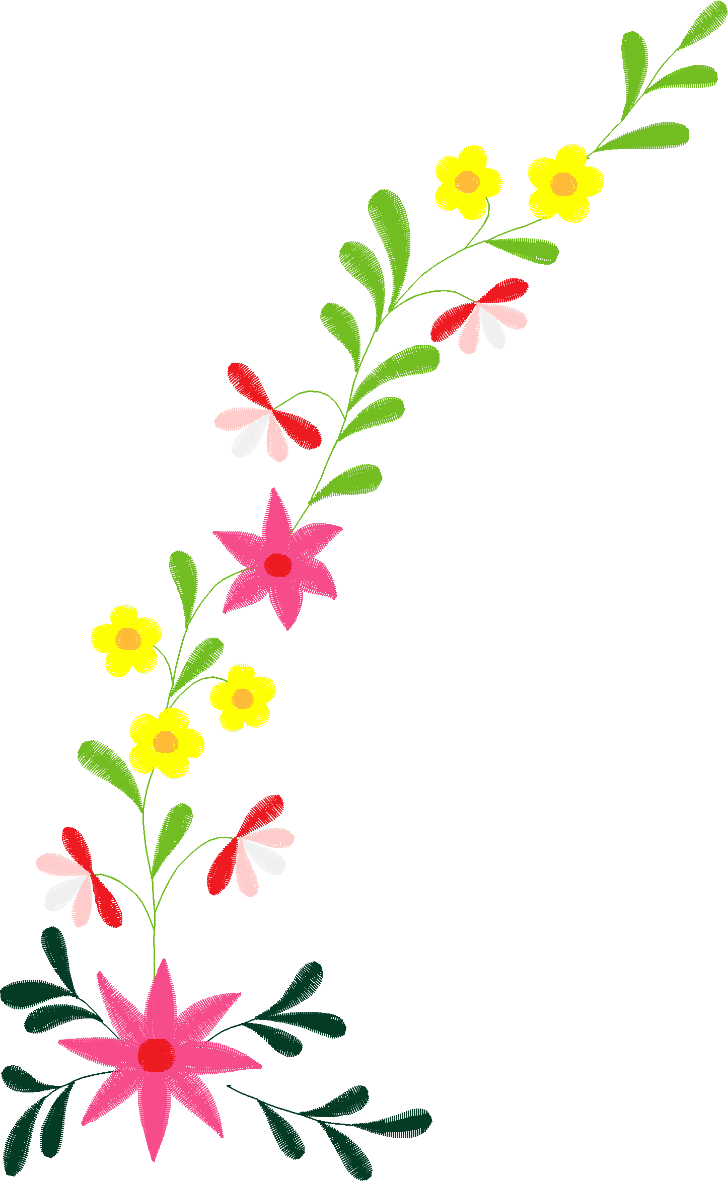 Borders 26 (38)