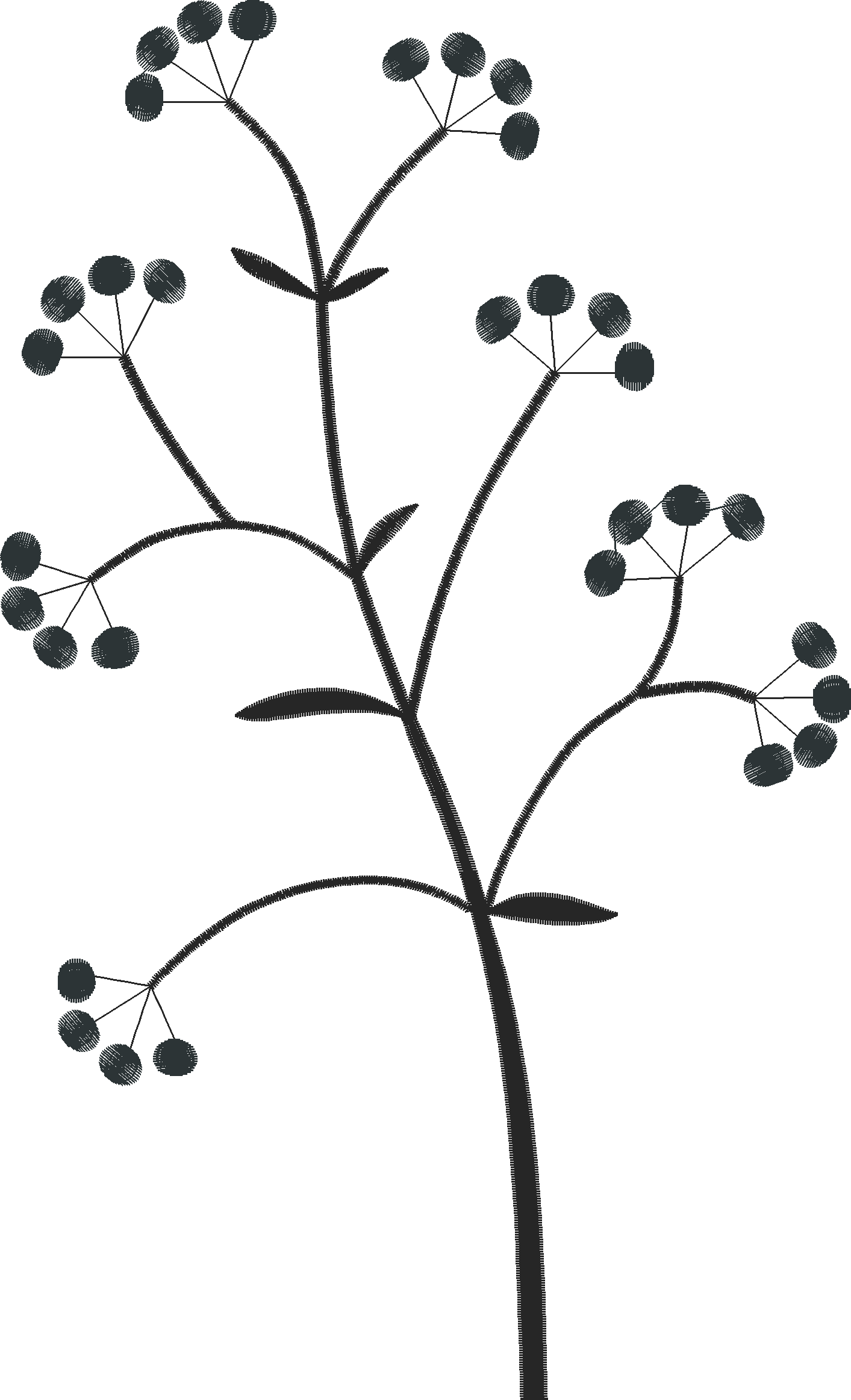 Borders 26 (44)