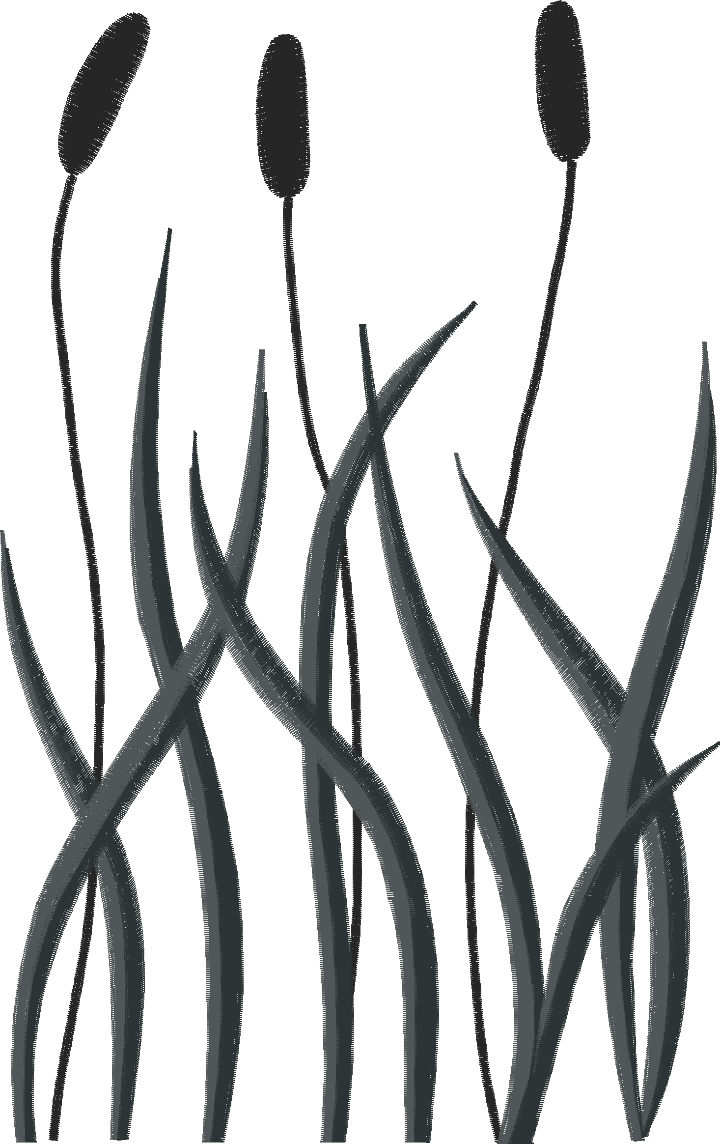 Borders 26 (46)