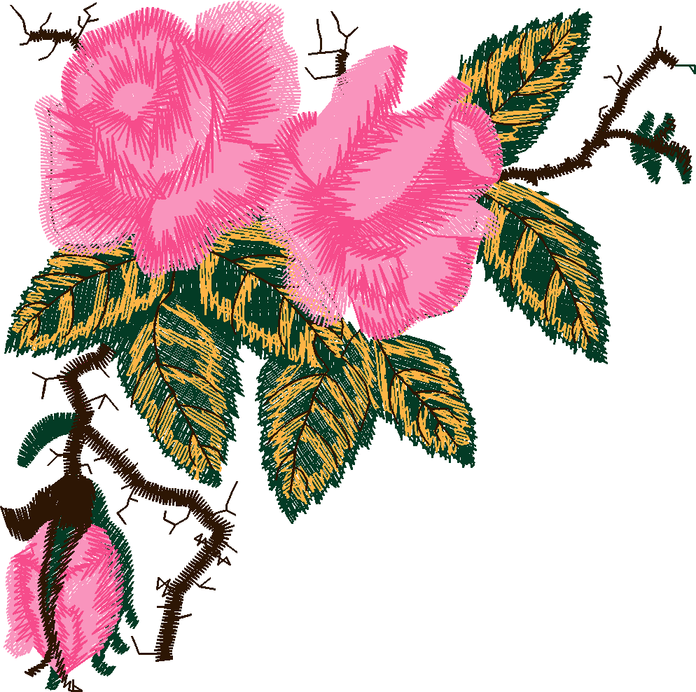 Borders 27 (118)