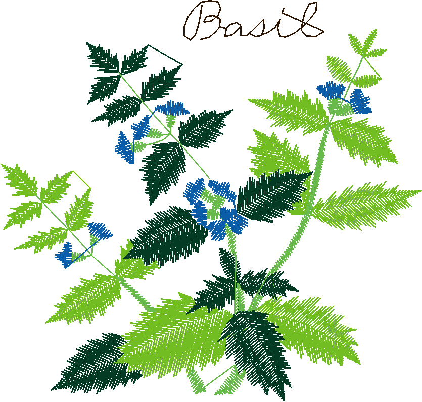 Herbe032