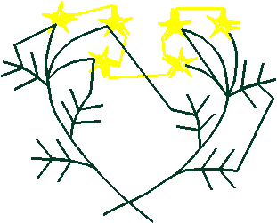 Herbe042
