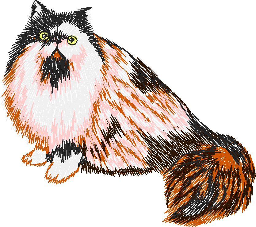 Chat012