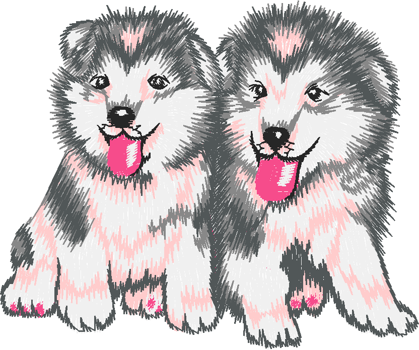 Chien004