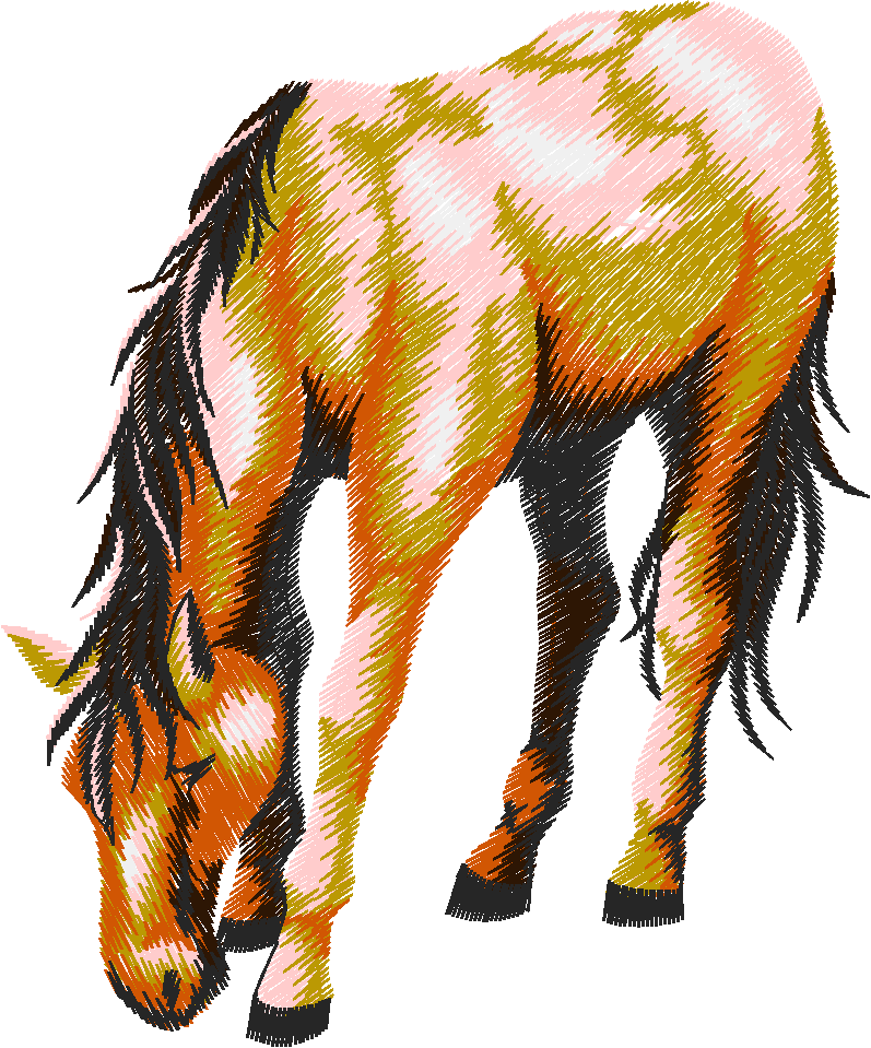 25 Chevaux004
