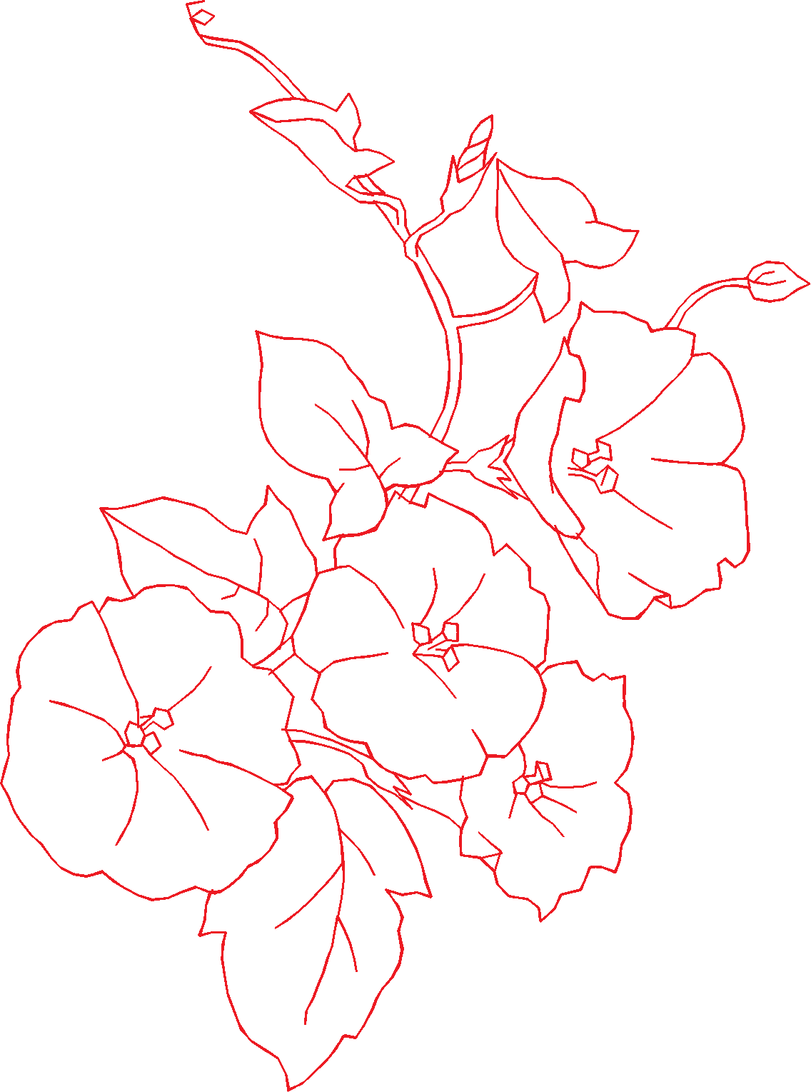 N°76