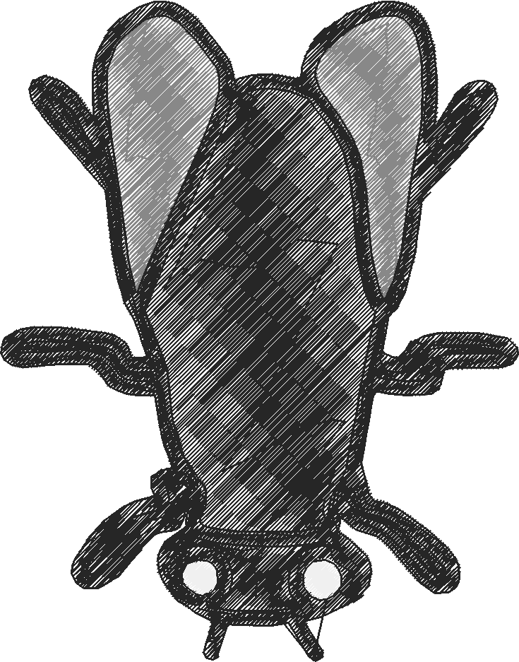 Bugs 10  (11)