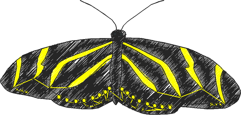 Bugs 10  (17)