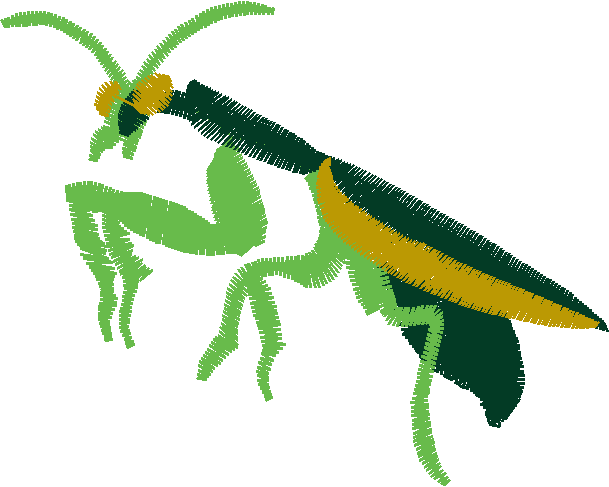 Bugs 8  (5)