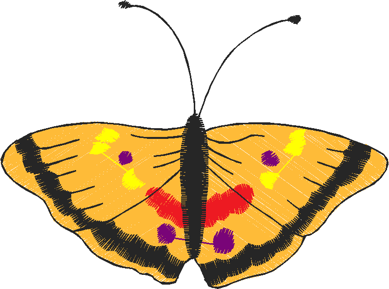 Bugs 8  (7)
