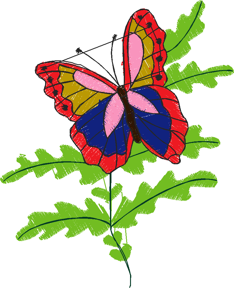 Butterflies 1  (13)