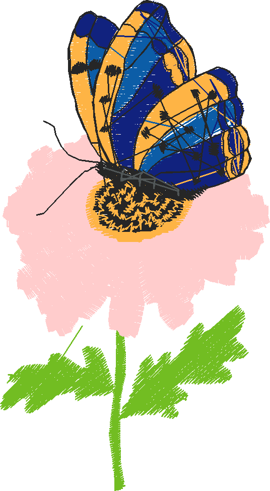 Butterflies 1  (16)