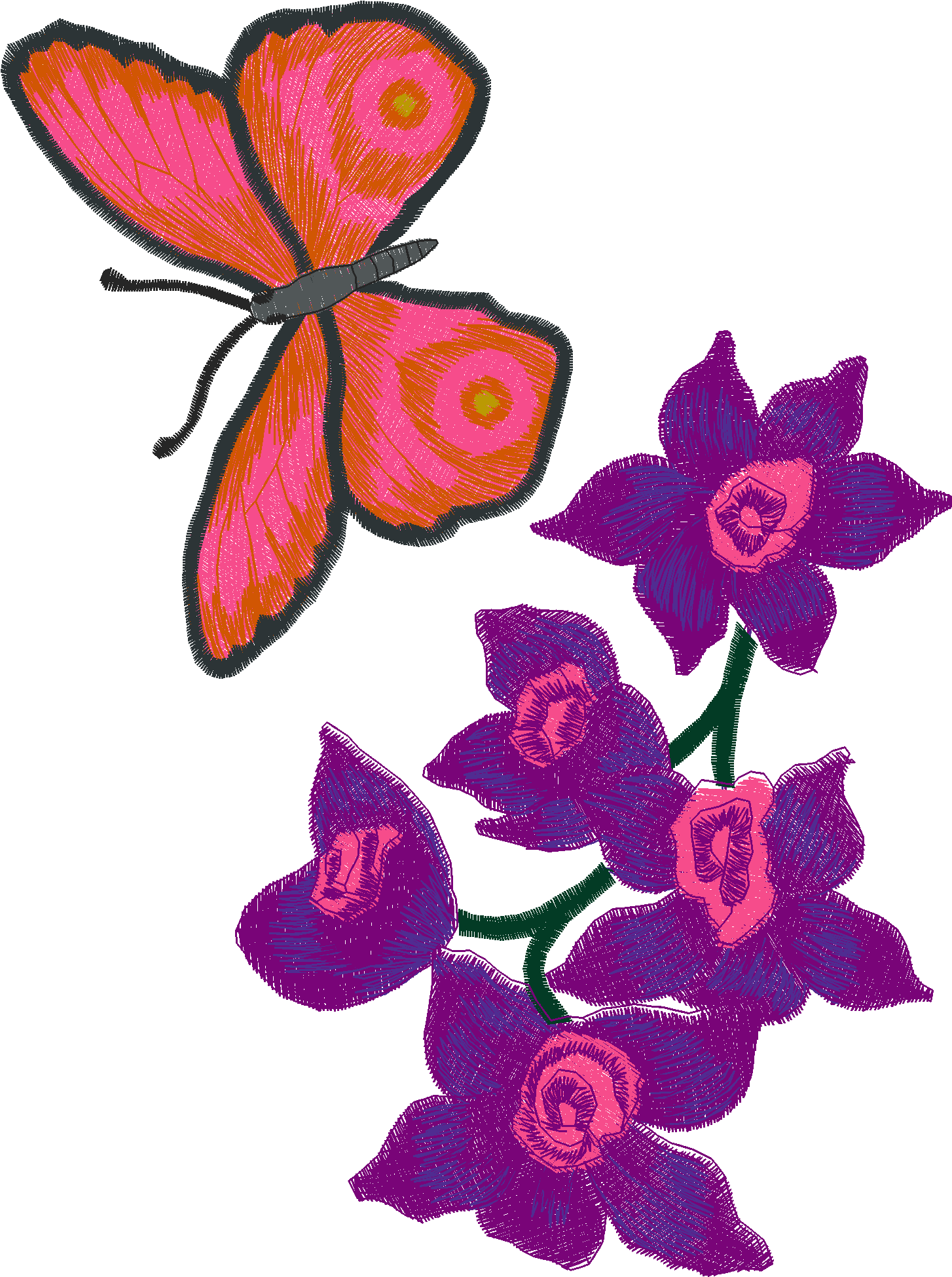 Butterflies 11  (5)
