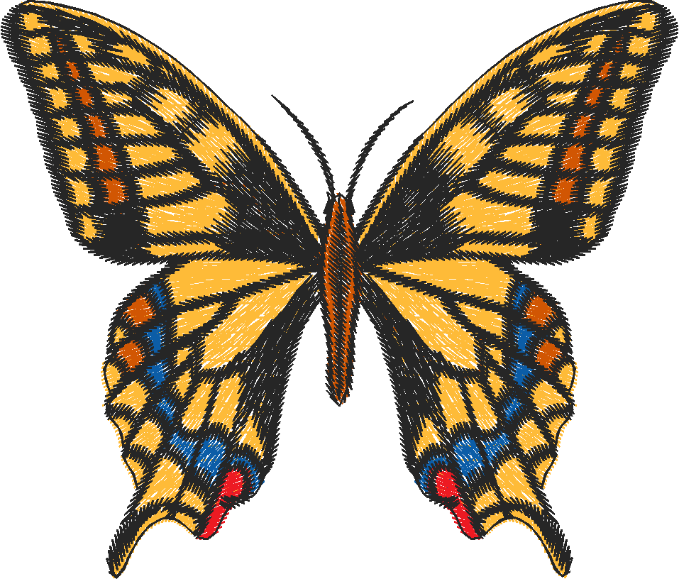 Butterflies 14  (2)