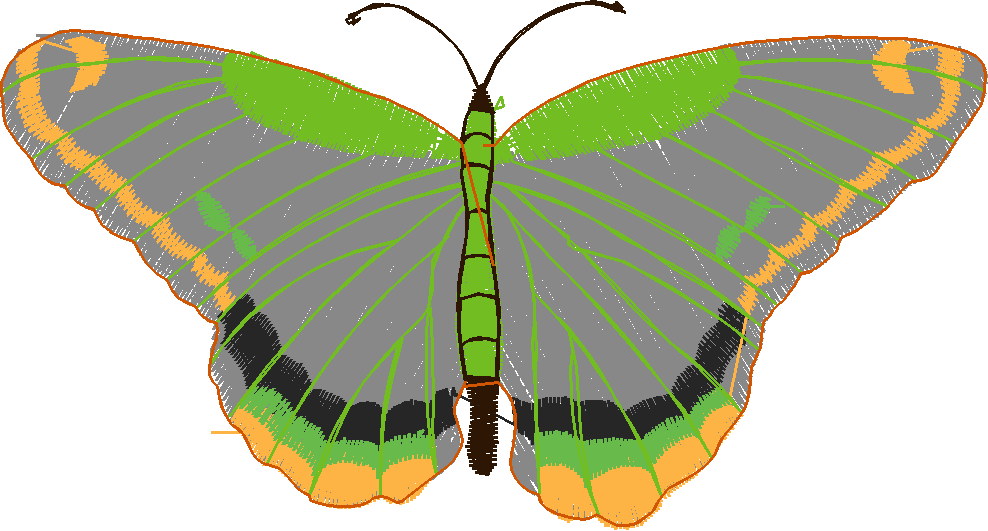 Butterflies 18 (44)