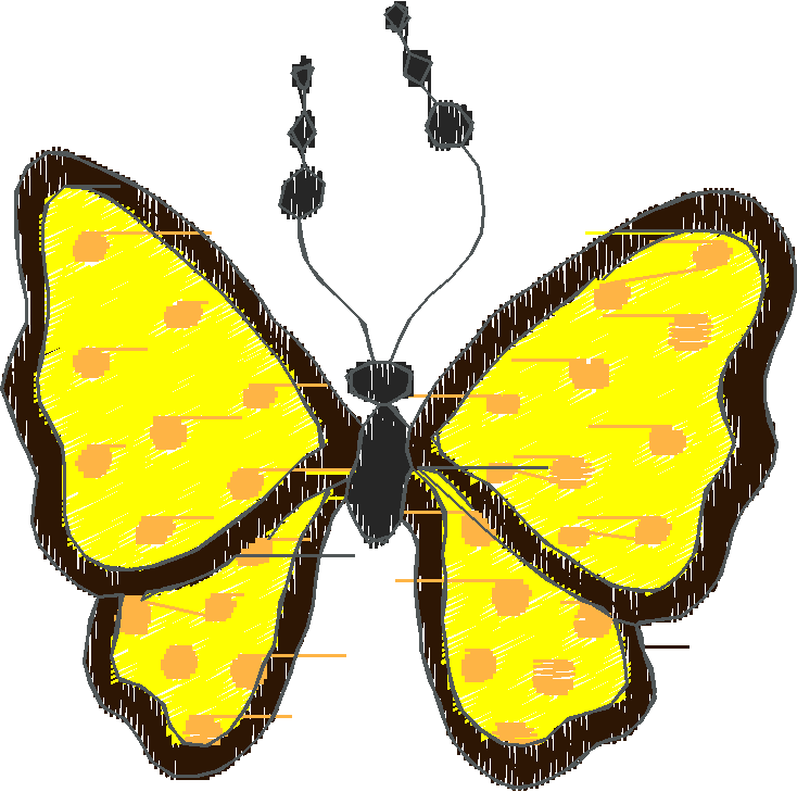 Butterflies 18 (8)