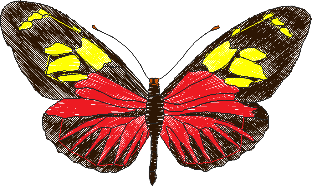 Butterflies 18 (88)