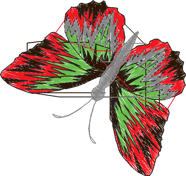 Butterflies 18 (97)