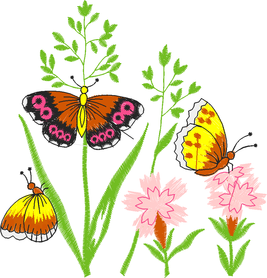 Butterflies 21  (2)