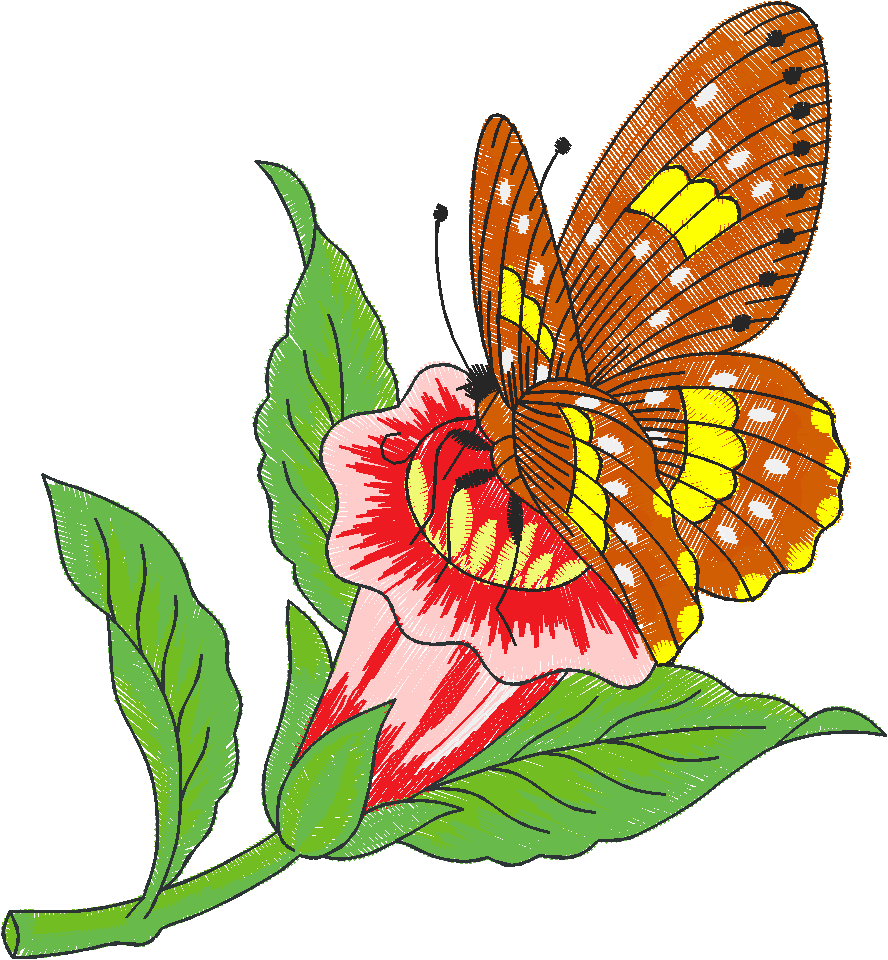 Butterflies 21  (4)