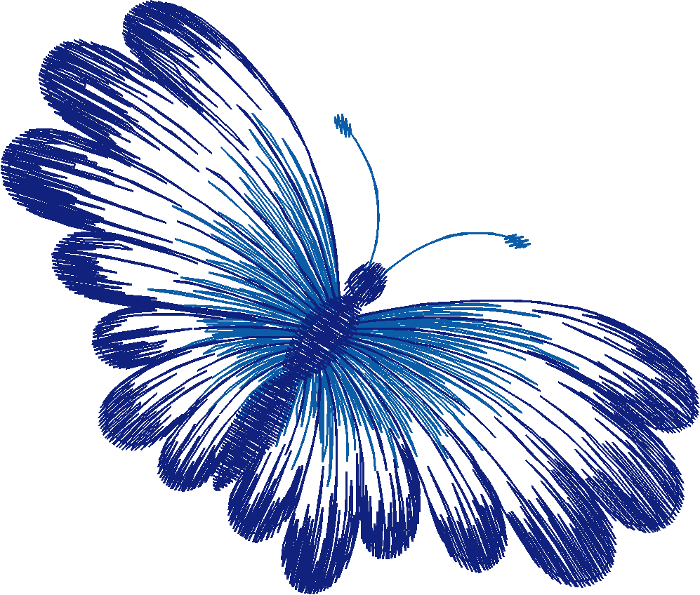 Butterflies 22 (1)