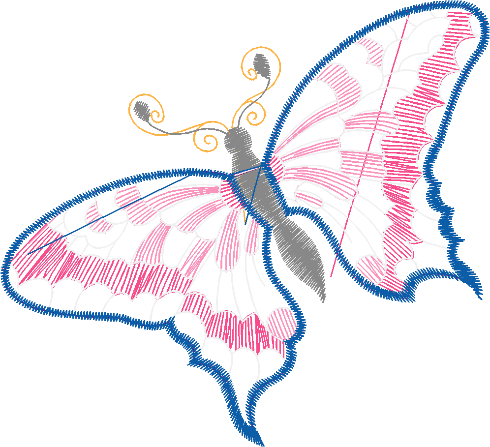 Butterflies 22 (12)